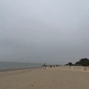 厦门旅游 缩略图 6