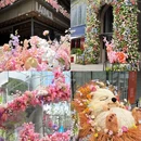 上海旅游 缩略图 11