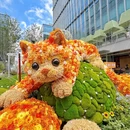 上海旅游 缩略图 1