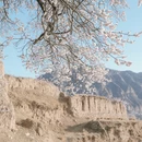 张家口旅游 缩略图 4