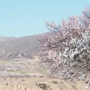 张家口旅游 缩略图 11