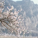 张家口旅游 缩略图 9
