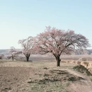 张家口旅游 缩略图 14