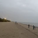 厦门旅游 缩略图 5