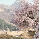 张家口旅游 缩略图 12