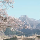 张家口旅游 缩略图 15