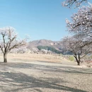 张家口旅游 缩略图 7