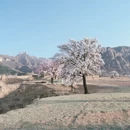 张家口旅游 缩略图 13