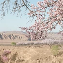 张家口旅游 缩略图 10