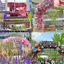 上海旅游 缩略图 13
