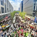 上海旅游 缩略图 18