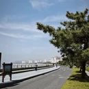 青岛旅游 缩略图 12