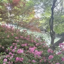 苏州旅游 缩略图 12