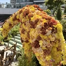 上海旅游 缩略图 14