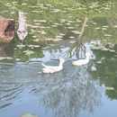 苏州旅游 缩略图 19