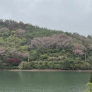 杭州旅游 缩略图 4