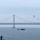 大连旅游 缩略图 11