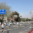 青岛旅游 缩略图 5