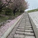 杭州旅游 缩略图 7