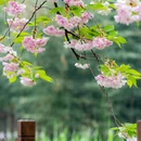 北京旅游 缩略图 5