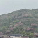 杭州旅游 缩略图 2