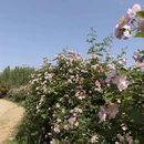 武汉旅游 缩略图 1