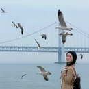 大连旅游 缩略图 12