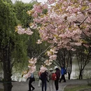 北京旅游 缩略图 7