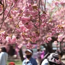 北京旅游 缩略图 4