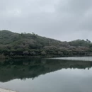 杭州旅游 缩略图 6
