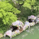 苏州旅游 缩略图 8