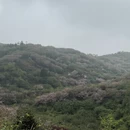 杭州旅游 缩略图 5