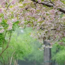 北京旅游 缩略图 17
