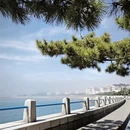 青岛旅游 缩略图 8