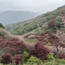 杭州旅游 缩略图 10