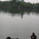 杭州旅游 缩略图 17