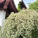 苏州旅游 缩略图 5