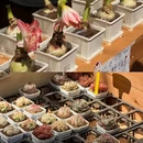上海旅游 缩略图 13