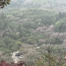 杭州旅游 缩略图 3