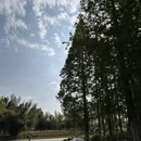 上海旅游 缩略图 5
