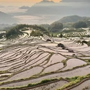 丽水旅游 缩略图 11