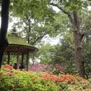 无锡旅游 缩略图 5