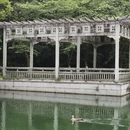 杭州旅游 缩略图 12