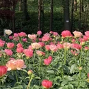 宁波旅游 缩略图 8