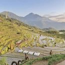 丽水旅游 缩略图 10