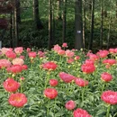 宁波旅游 缩略图 15