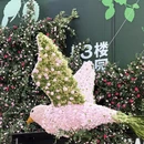 上海旅游 缩略图 7