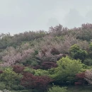 杭州旅游 缩略图 1