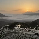 丽水旅游 缩略图 7