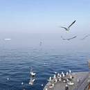大连旅游 缩略图 9